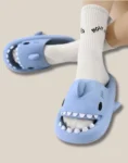 blue shark slides